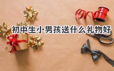 初中生小男孩送什么礼物好