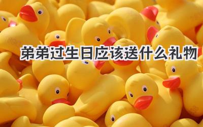 弟弟过生日应该送什么礼物