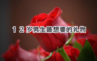12岁男生最想要的礼物