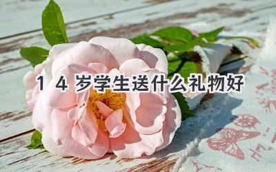 14岁学生送什么礼物好