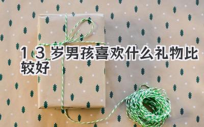 13岁男孩喜欢什么礼物比较好