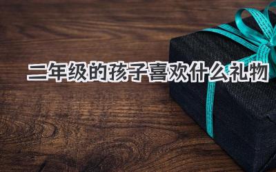 二年级的孩子喜欢什么礼物