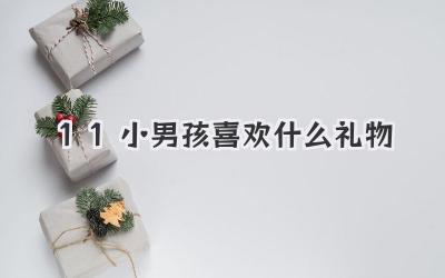 11小男孩喜欢什么礼物