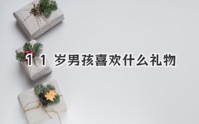 11岁男孩喜欢什么礼物