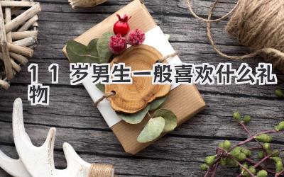 11岁男生一般喜欢什么礼物