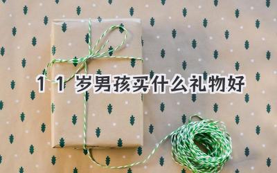 11岁男孩买什么礼物好