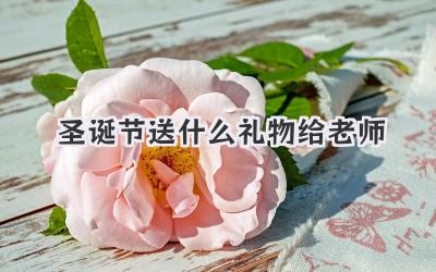 圣诞节送什么礼物给老师