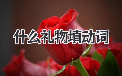 什么礼物填动词