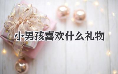 小男孩喜欢什么礼物
