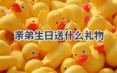 亲弟生日送什么礼物