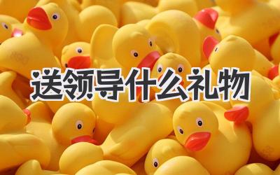 送领导什么礼物