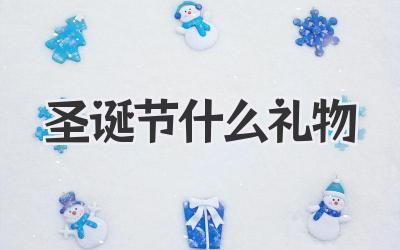 圣诞节什么礼物