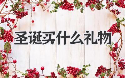 圣诞买什么礼物