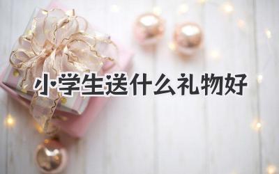 小学生送什么礼物好