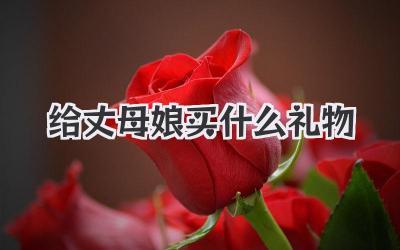 给丈母娘买什么礼物