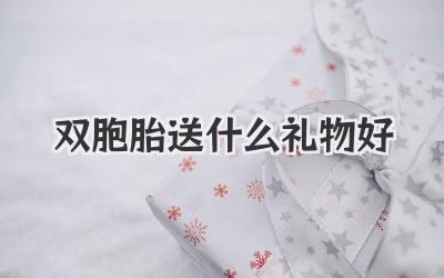 双胞胎送什么礼物好