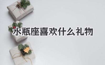 水瓶座喜欢什么礼物