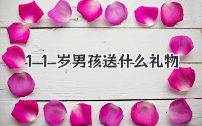 11岁男孩送什么礼物