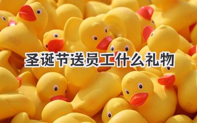圣诞节送员工什么礼物