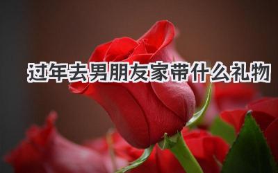 过年去男朋友家带什么礼物