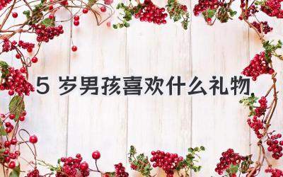 5岁男孩喜欢什么礼物
