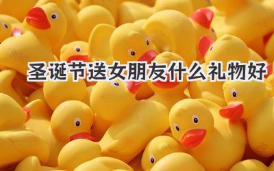 圣诞节送女朋友什么礼物好