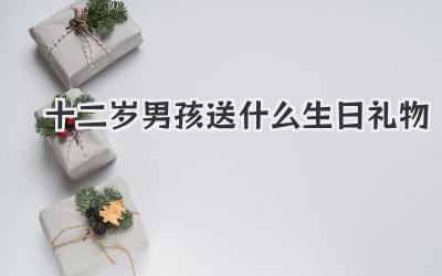 十二岁男孩送什么生日礼物