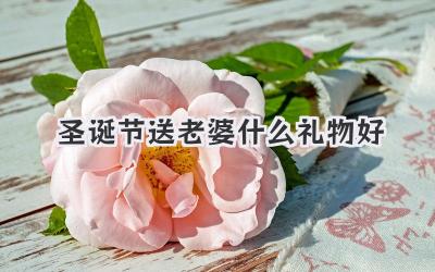 圣诞节送老婆什么礼物好