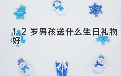 12岁男孩送什么生日礼物好