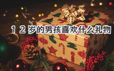 12岁的男孩喜欢什么礼物