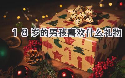 18岁的男孩喜欢什么礼物