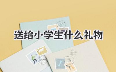 送给小学生什么礼物