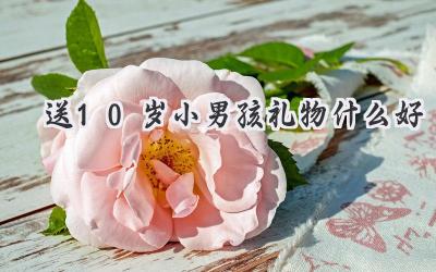 送10岁小男孩礼物什么好