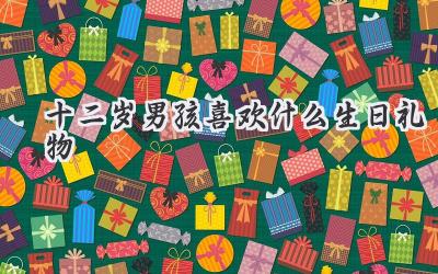 十二岁男孩喜欢什么生日礼物