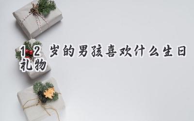 12岁的男孩喜欢什么生日礼物