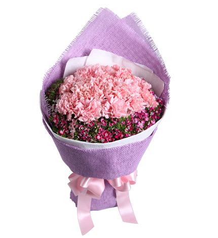 花店里一束康乃馨多少钱