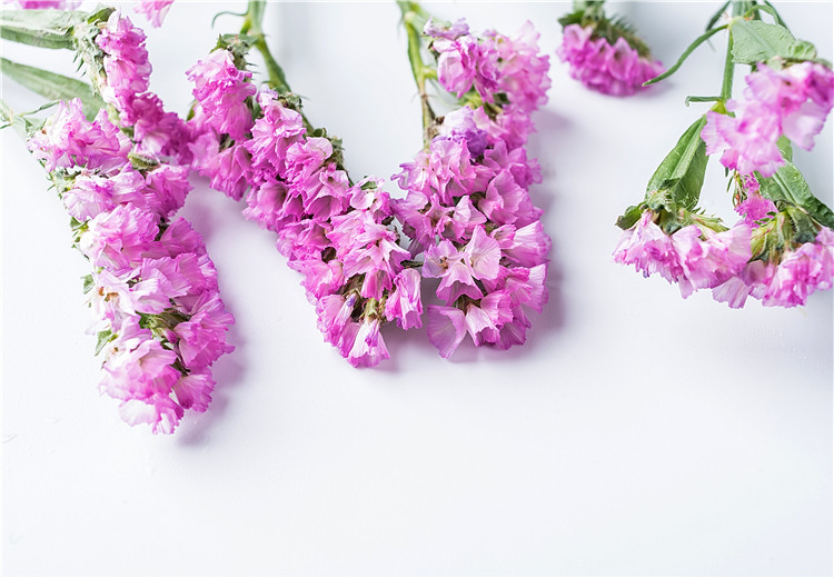 朋友结婚可以送鲜花吗