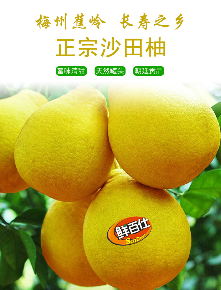 网友概括新年最强送礼物指南，终于有答案了！