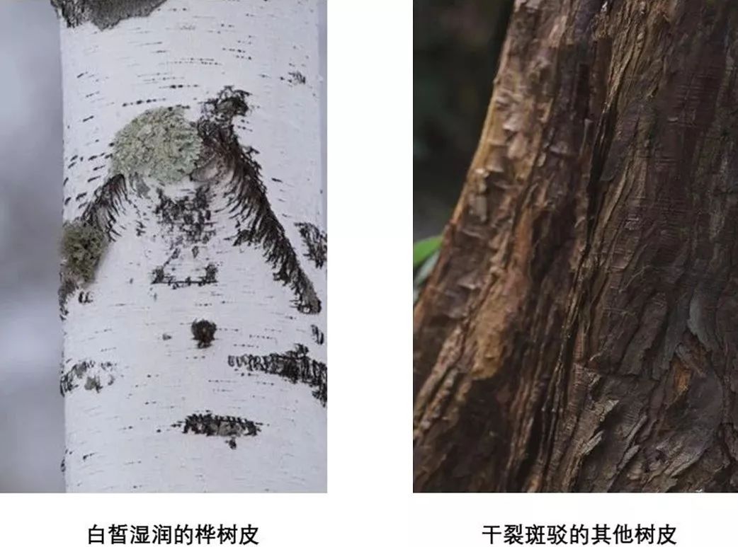 过年送礼物不知怎么样选择？这里有一份适合送父母的贴心好礼