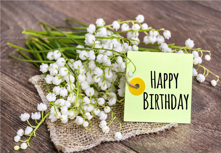 好朋友生日，生日祝福语如何说