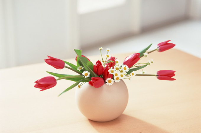 3月生日送什么礼物花？有哪些意义？