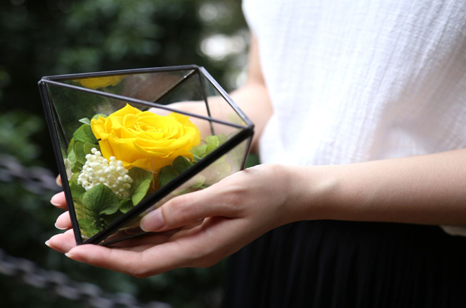 女神节送永生花好还是鲜花好？