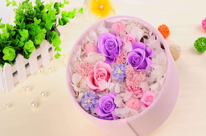 紫玫瑰的花语、意义是什么？送紫玫瑰给女朋友适合吗？