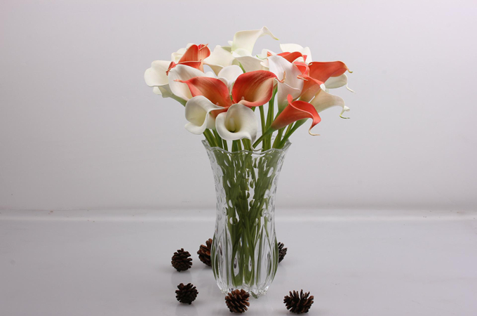 天秤座的朋友送什么守护花？守护花有花语吗？
