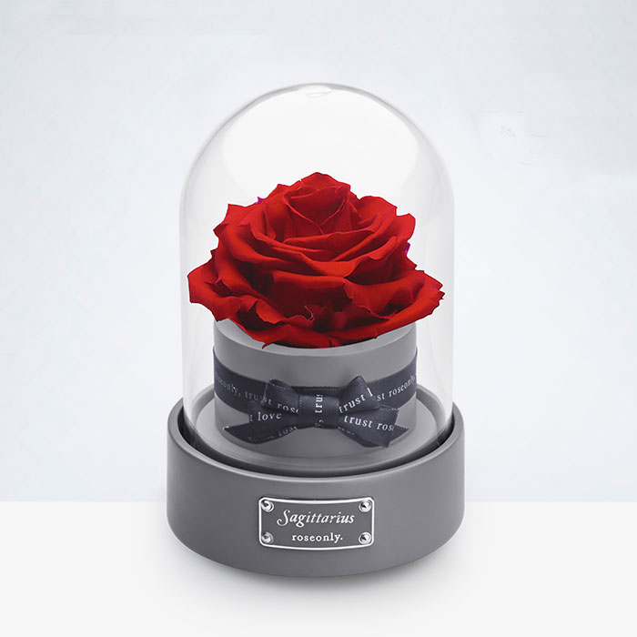 ROSEONLY十二星座玫瑰花礼盒永生花音乐盒女生闺蜜生日情人节礼物