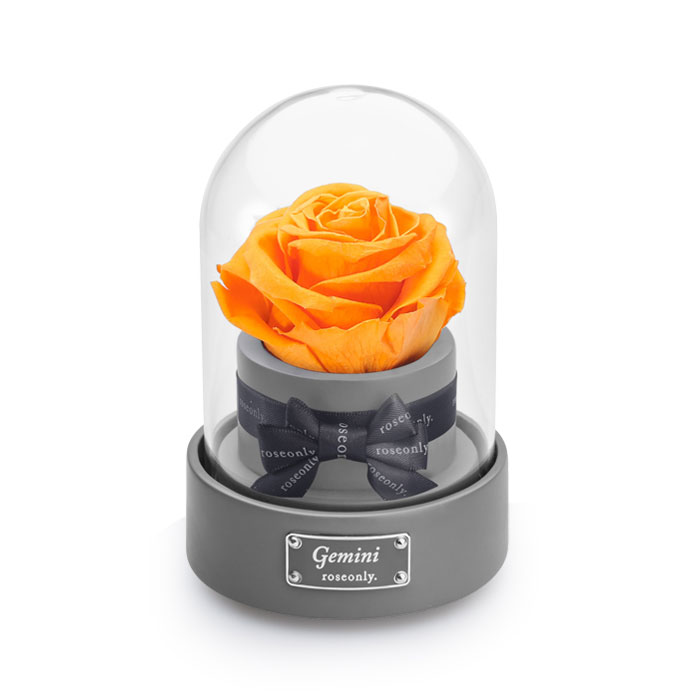 ROSEONLY十二星座玫瑰花礼盒永生花音乐盒女生闺蜜生日情人节礼物