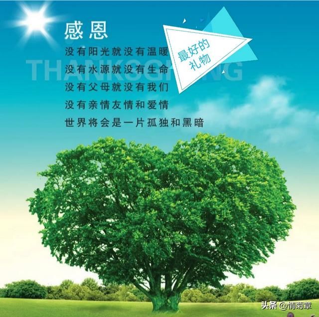 赚到第一份工资。该送父母什么礼物？