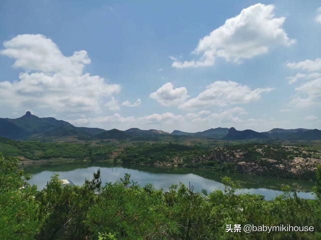 给领导送礼送什么茶叶好？