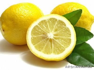 川渝地区适合种植哪些水果？