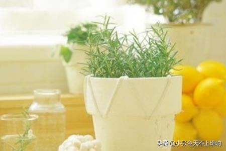 送男生什么生日礼物比较好呢？